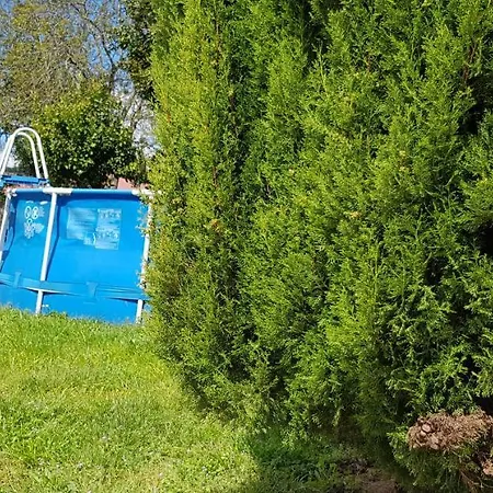 San Clemente Гостевой дом Туй