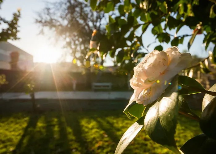 Gasthuis San Clemente *